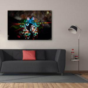 'Peacock Mantis Shrimp' by Epic Portfolio, Canvas Wall Art,60 x 40
