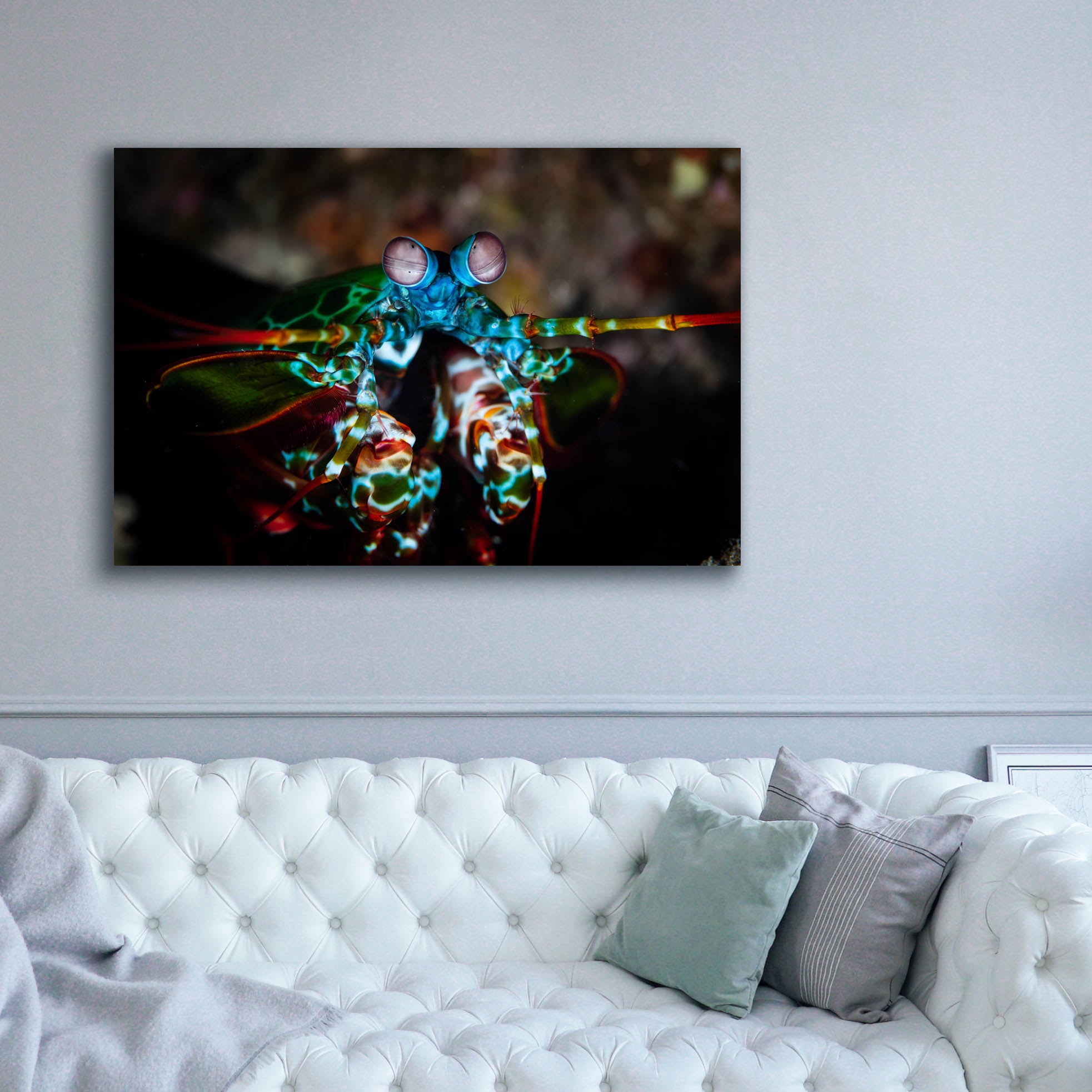 'Peacock Mantis Shrimp' by Epic Portfolio, Canvas Wall Art,60 x 40