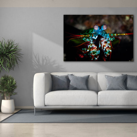 Image of 'Peacock Mantis Shrimp' by Epic Portfolio, Canvas Wall Art,60 x 40