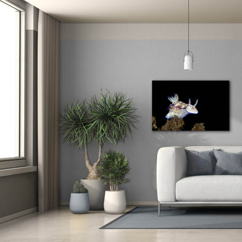 Image of 'Nudibranch On Coral Reef' by Epic Portfolio, Canvas Wall Art,40 x 26