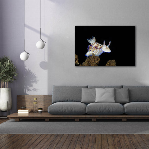 Image of 'Nudibranch On Coral Reef' by Epic Portfolio, Canvas Wall Art,60 x 40