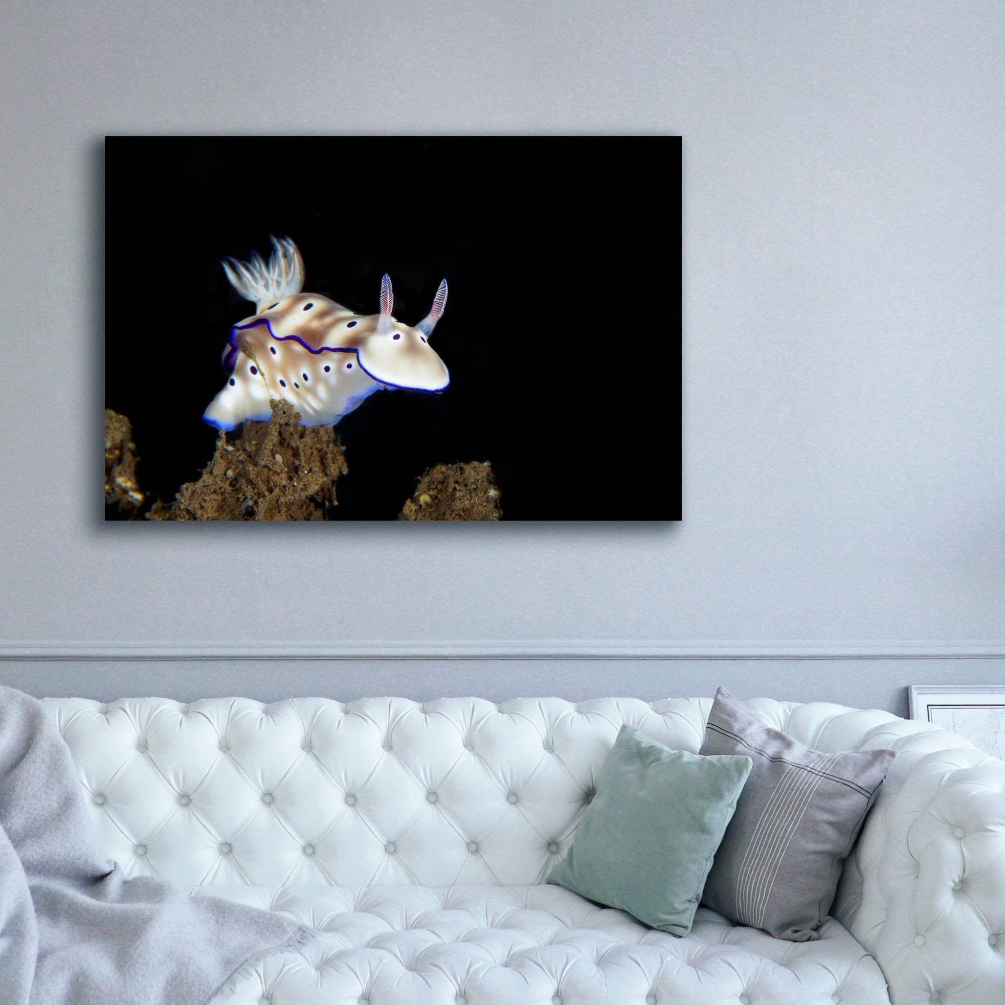 'Nudibranch On Coral Reef' by Epic Portfolio, Canvas Wall Art,60 x 40