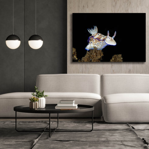 Image of 'Nudibranch On Coral Reef' by Epic Portfolio, Canvas Wall Art,60 x 40