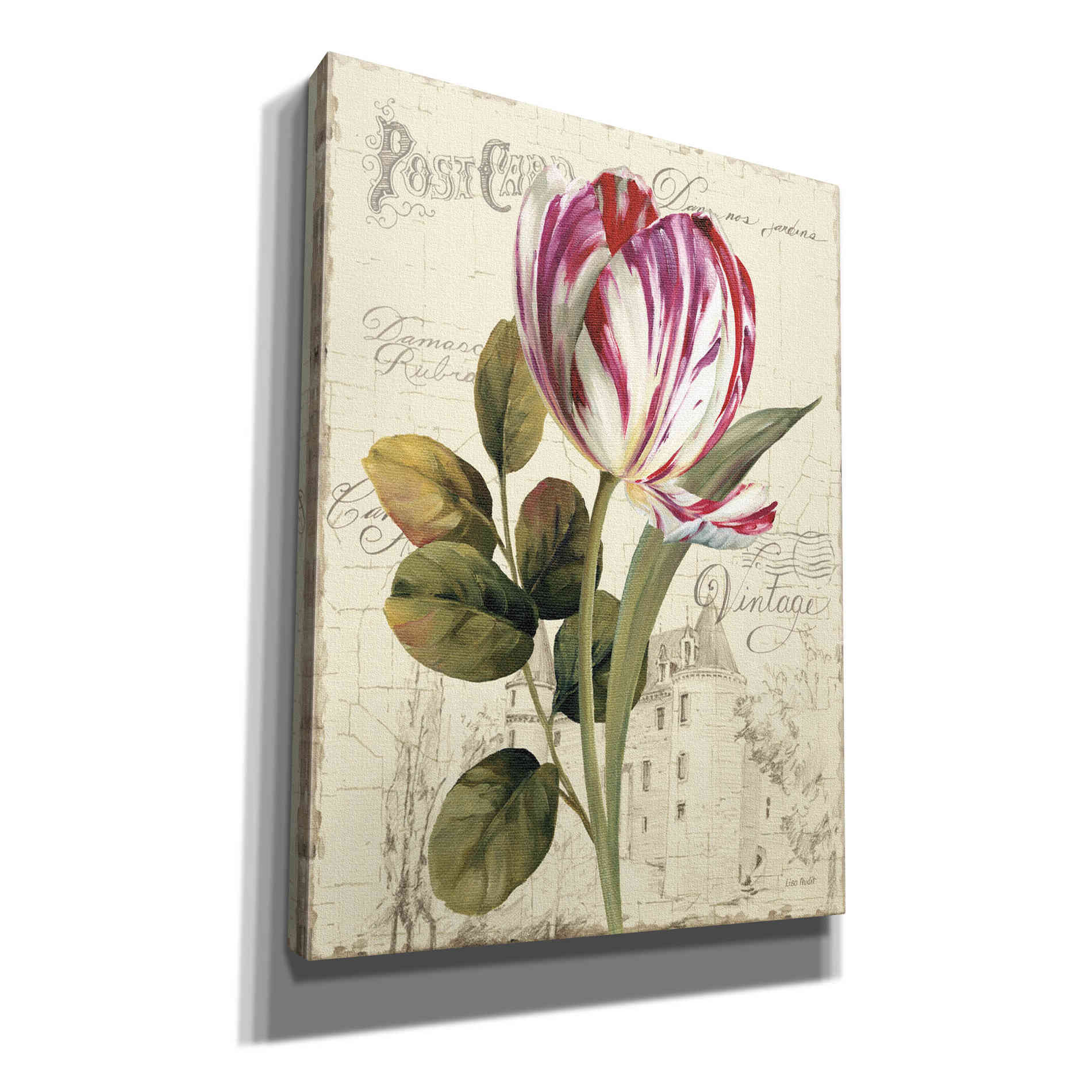 'Garden View II' by Lisa Audit Canvas Wall Art