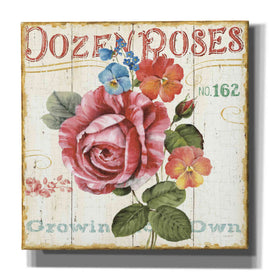 'Rose Garden II' by Lisa Audit, Canvas Wall Art