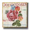 'Rose Garden II' by Lisa Audit, Canvas Wall Art