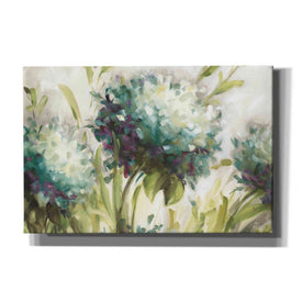 'Hydrangea Field' by Lisa Audit, Canvas Wall Art