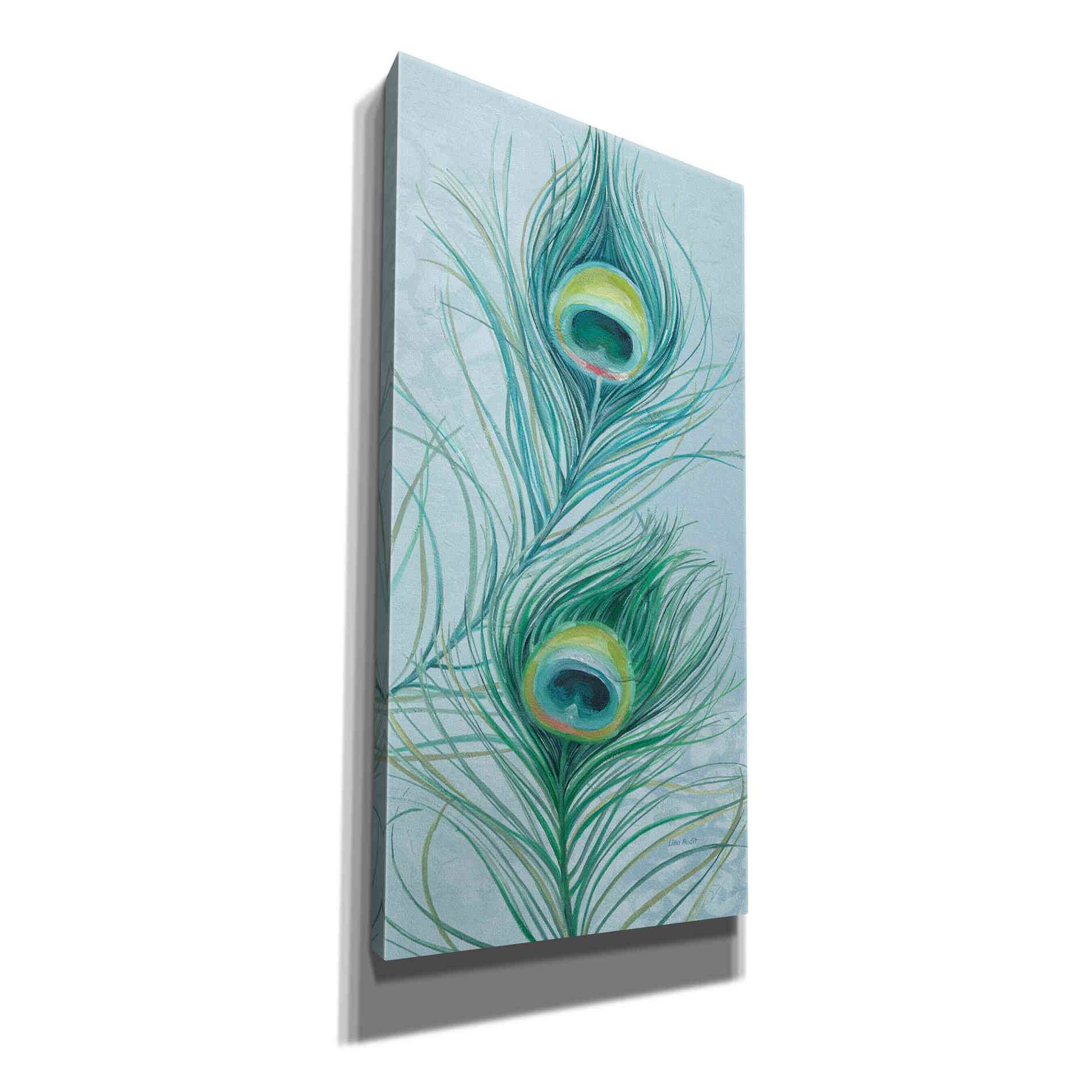 'Blue Feathered Peacock V' by Lisa Audit, Canvas Wall Art