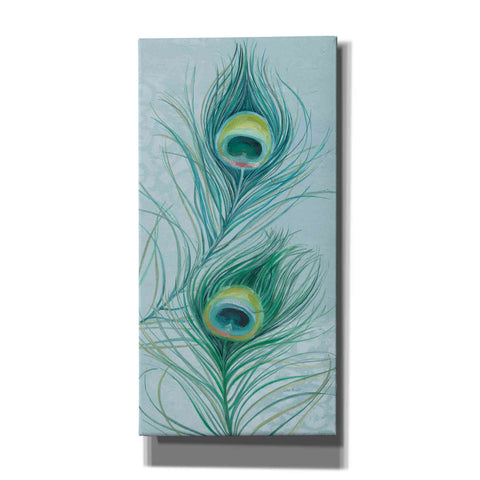 Image of 'Blue Feathered Peacock V' by Lisa Audit, Canvas Wall Art
