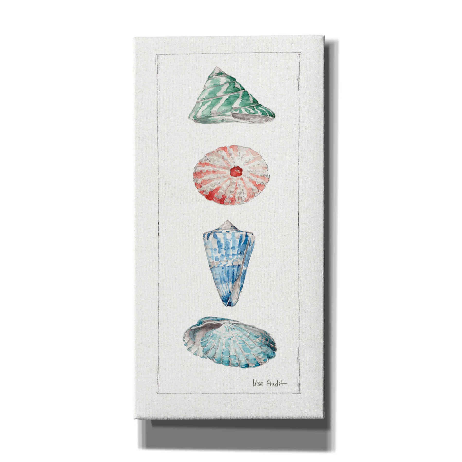 'Sea Finds III' by Lisa Audit, Canvas Wall Art