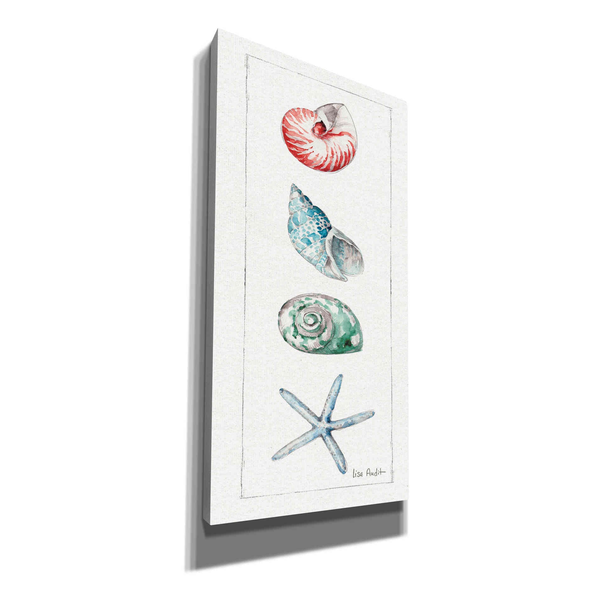 'Sea Finds IV' by Lisa Audit, Canvas Wall Art