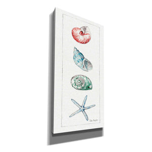 'Sea Finds IV' by Lisa Audit, Canvas Wall Art