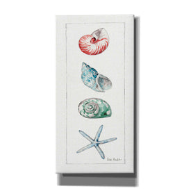 'Sea Finds IV' by Lisa Audit, Canvas Wall Art