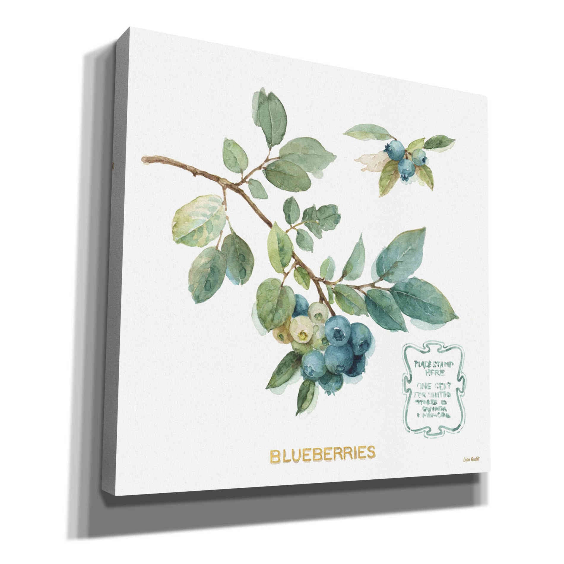'My Greenhouse Fruit II' by Lisa Audit, Canvas Wall Art