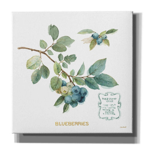 Image of 'My Greenhouse Fruit II' by Lisa Audit, Canvas Wall Art