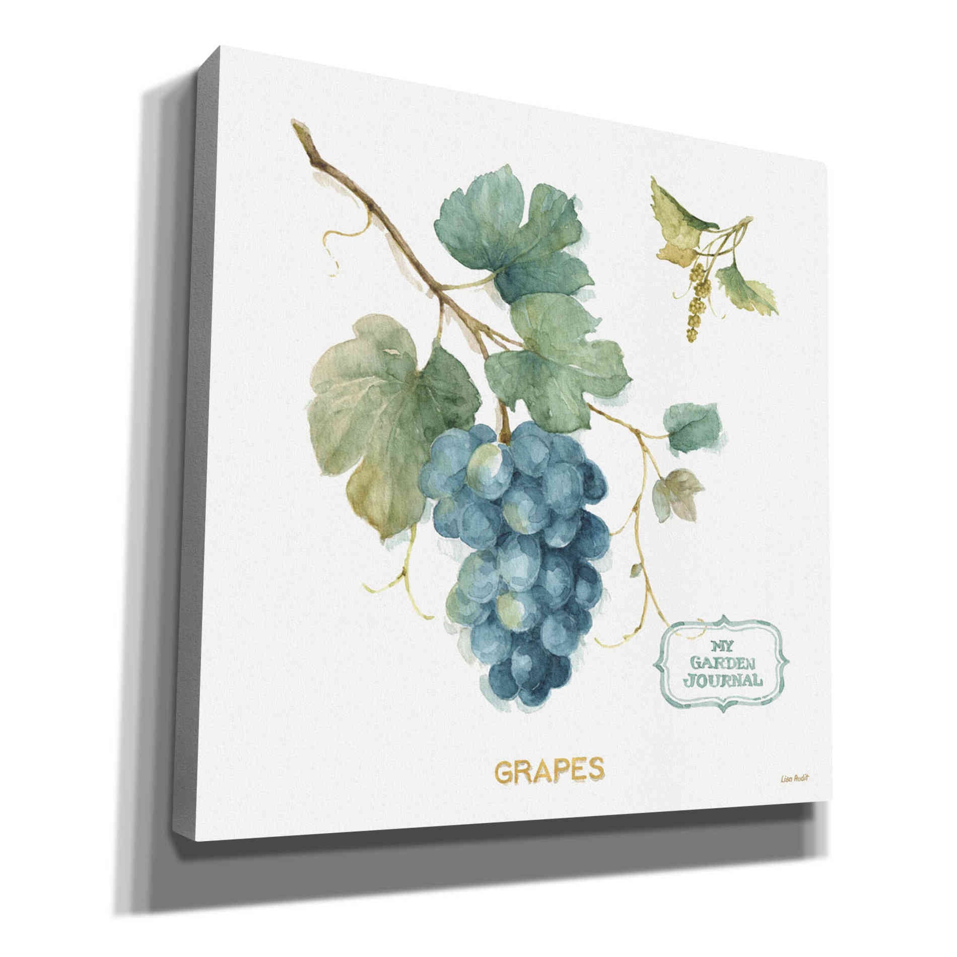 'My Greenhouse Fruit III' by Lisa Audit, Canvas Wall Art