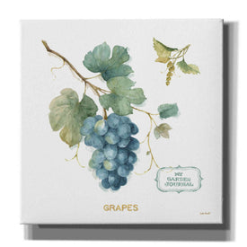 'My Greenhouse Fruit III' by Lisa Audit, Canvas Wall Art