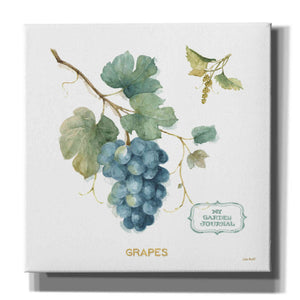 'My Greenhouse Fruit III' by Lisa Audit, Canvas Wall Art