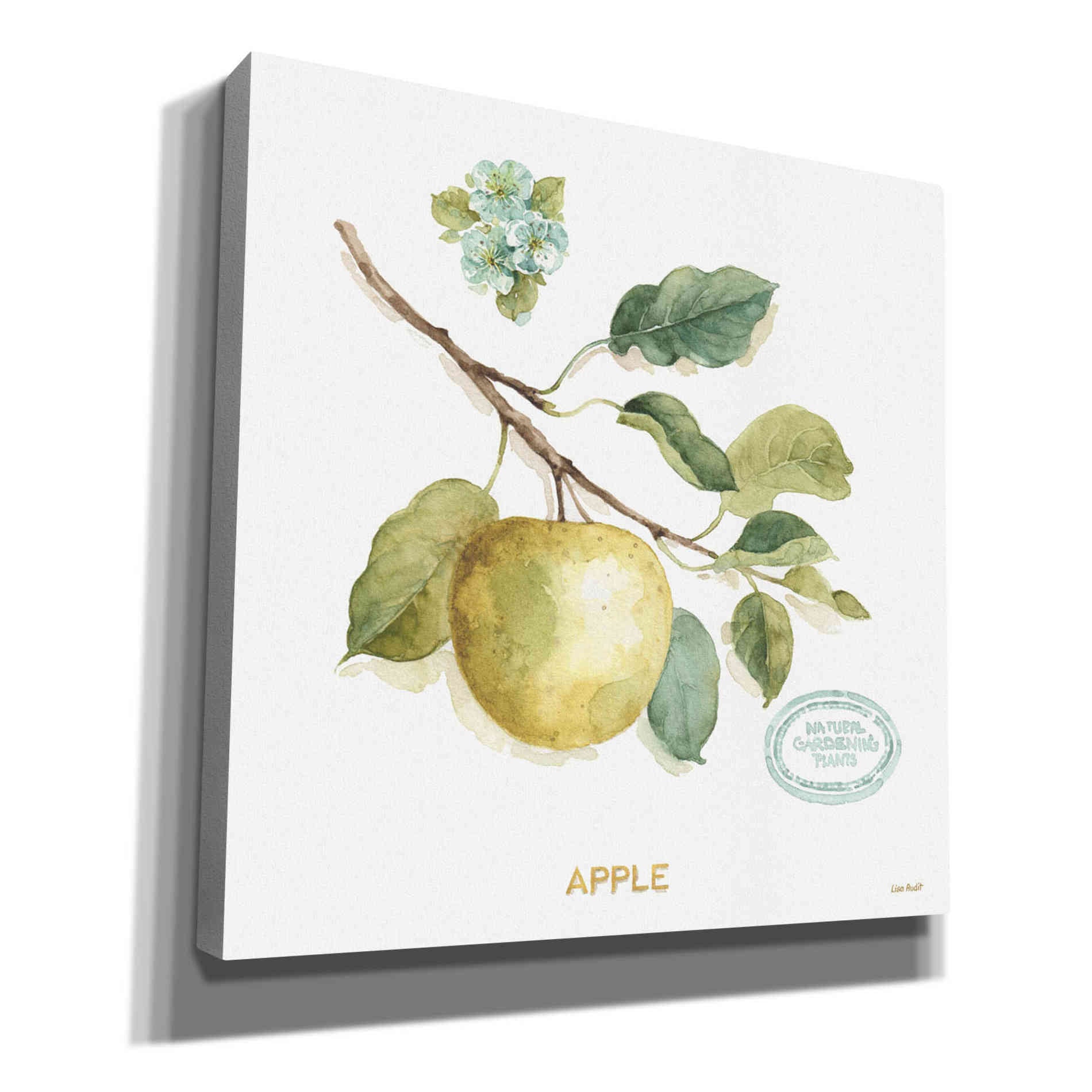 'My Greenhouse Fruit IV' by Lisa Audit, Canvas Wall Art