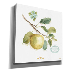 'My Greenhouse Fruit IV' by Lisa Audit, Canvas Wall Art
