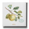 'My Greenhouse Fruit IV' by Lisa Audit, Canvas Wall Art