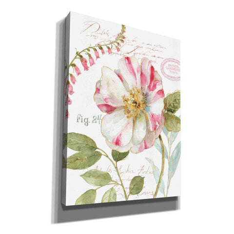 Image of 'Rainbow Seeds Botanical II' by Lisa Audit, Canvas Wall Art