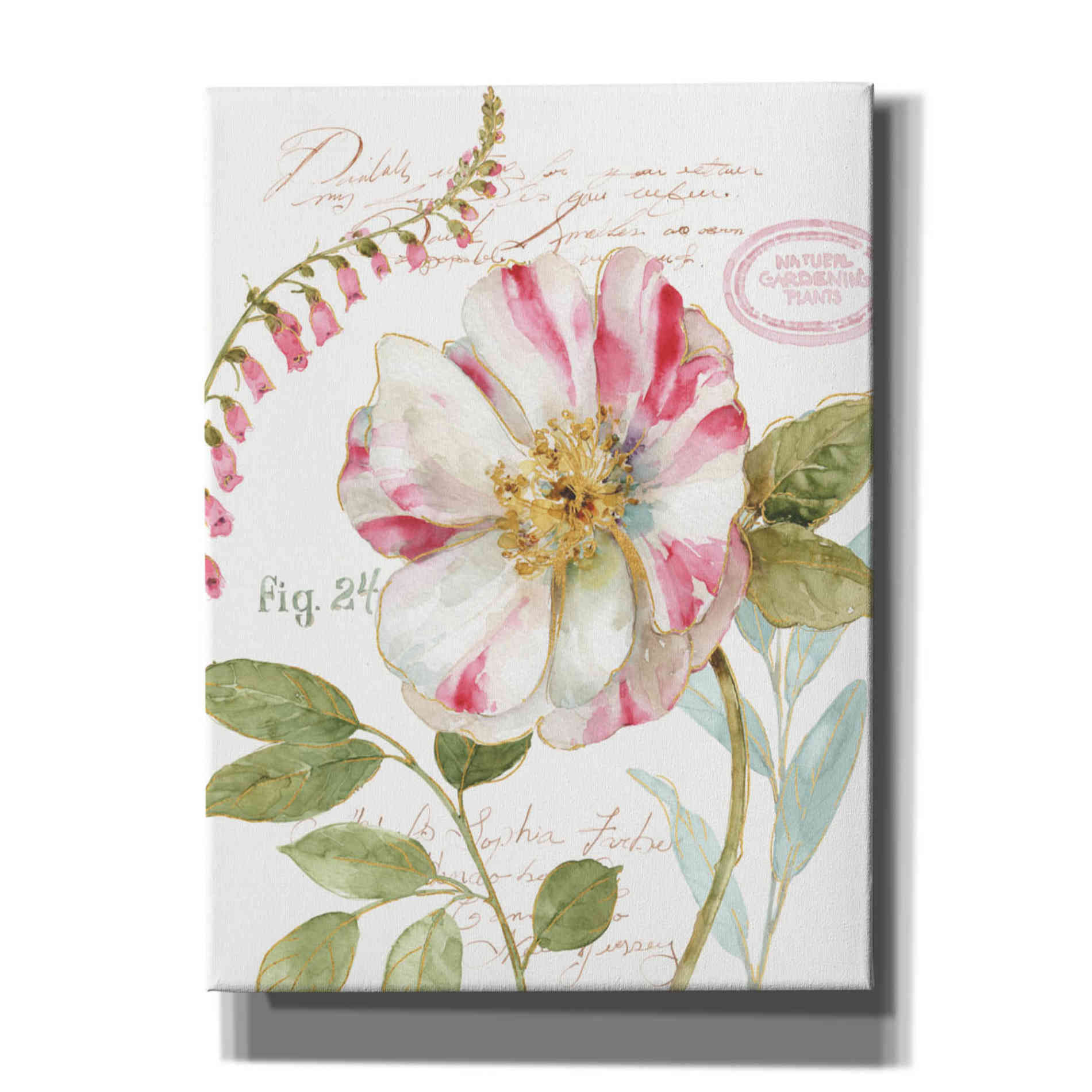 'Rainbow Seeds Botanical II' by Lisa Audit, Canvas Wall Art