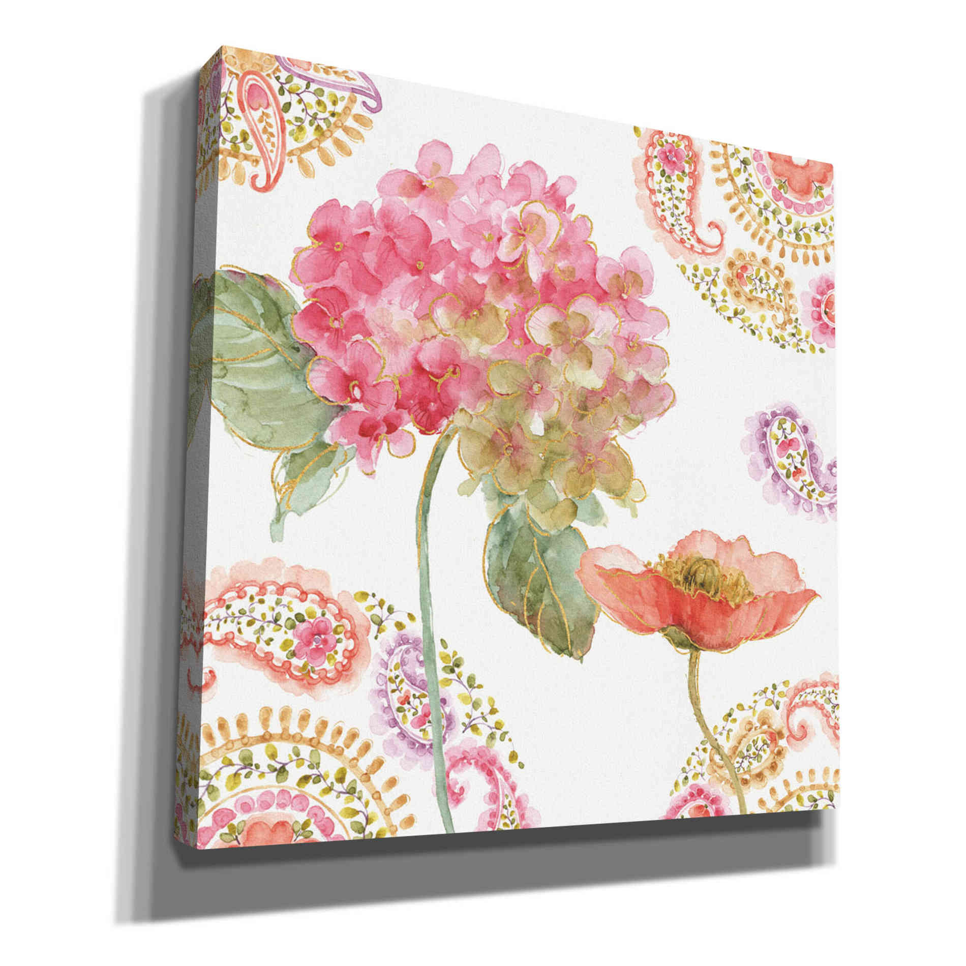 'Rainbow Seeds Paisley II' by Lisa Audit, Canvas Wall Art