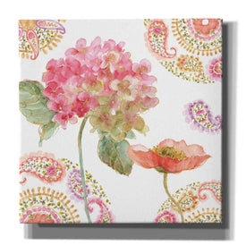 'Rainbow Seeds Paisley II' by Lisa Audit, Canvas Wall Art