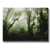 "Clodud Forest" by Nicklas Gustafsson Giclee Canvas Wall Art