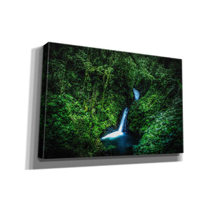 "Jungle Waterfall" by Nicklas Gustafsson Giclee Canvas Wall Art
