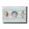 'Ocean Dream XIV' by Lisa Audit, Canvas Wall Art