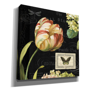 'Mothers Treasures I Dark' by Lisa Audit, Canvas Wall Art