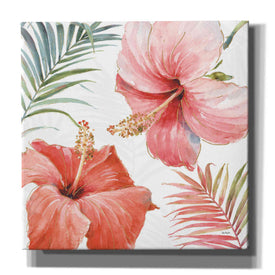 'Tropical Blush III' by Lisa Audit, Canvas Wall Art