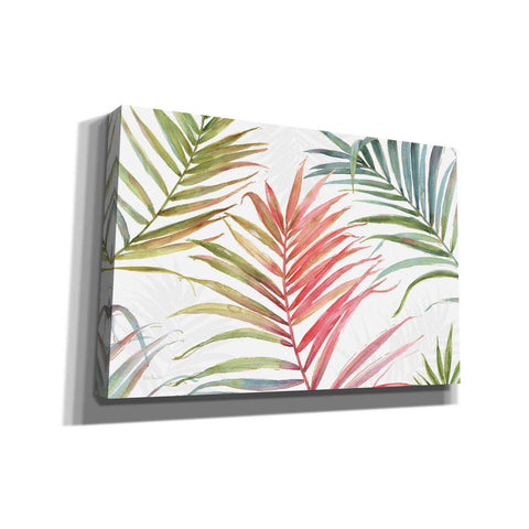 Image of 'Tropical Blush IV' by Lisa Audit, Canvas Wall Art