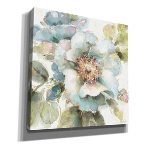 'Country Bloom VII' by Lisa Audit, Canvas Wall Art