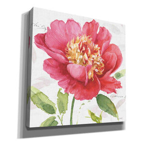 'Pink Garden II' by Lisa Audit, Canvas Wall Art