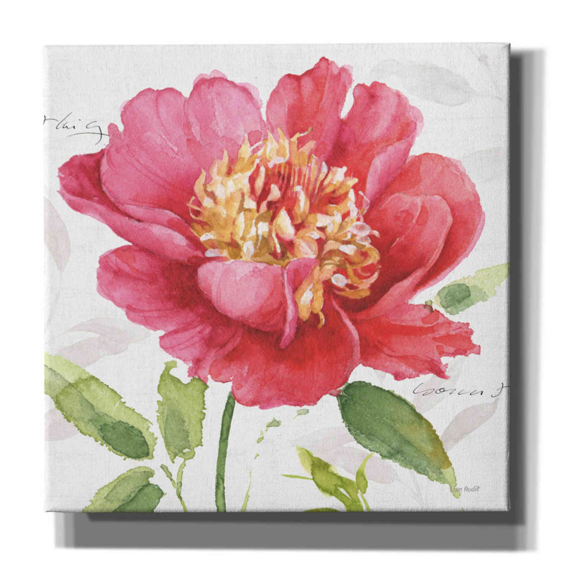 'Pink Garden II' by Lisa Audit, Canvas Wall Art