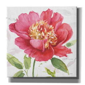'Pink Garden II' by Lisa Audit, Canvas Wall Art