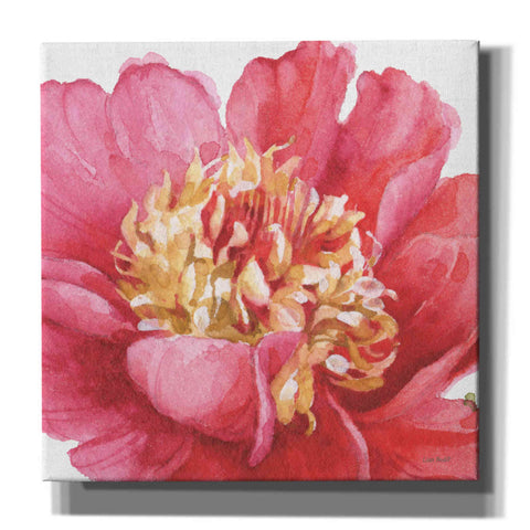 Image of 'Pink Garden V' by Lisa Audit, Canvas Wall Art