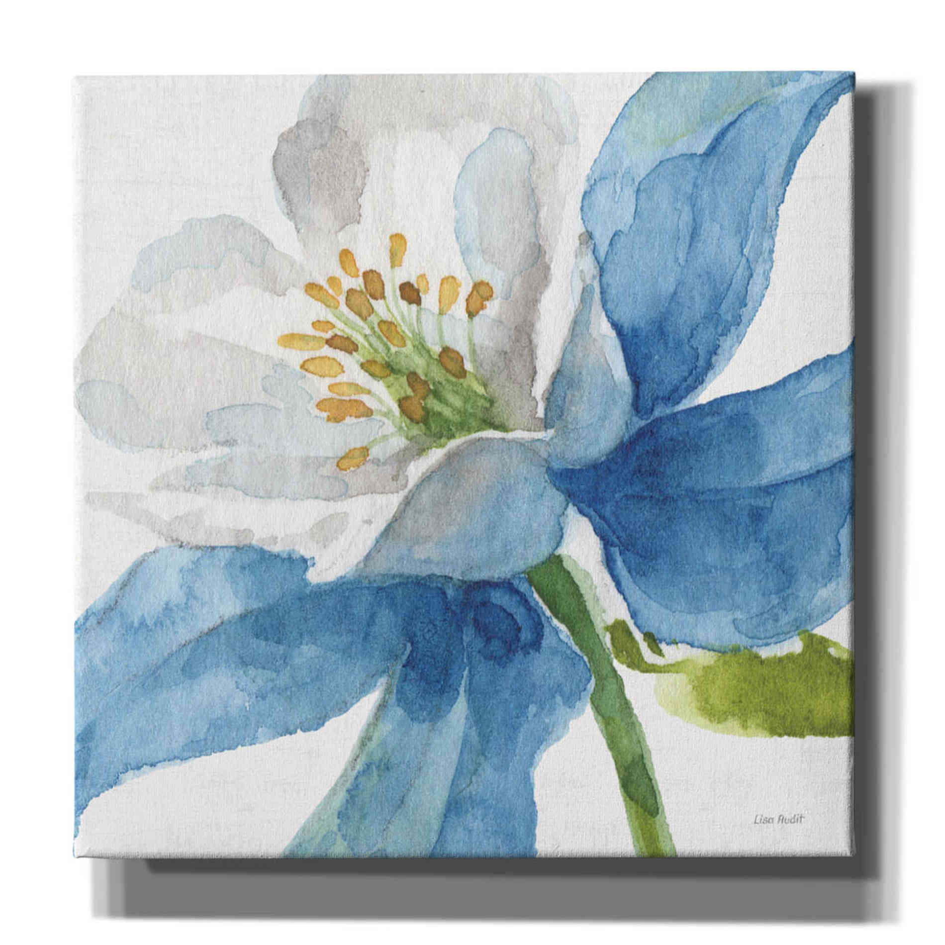 'Blue And Green Garden VI' by Lisa Audit, Canvas Wall Art