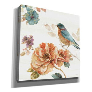 'Spiced Nature III' by Lisa Audit, Canvas Wall Art