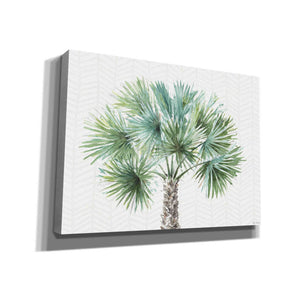 'Mixed Greens XIII' by Lisa Audit, Canvas Wall Art