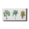 'Mixed Greens XV' by Lisa Audit, Canvas Wall Art