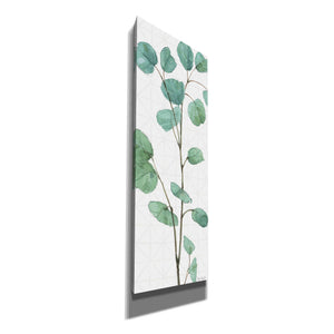 'Mixed Greens LIX' by Lisa Audit, Canvas Wall Art