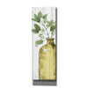 'Mixed Greens LXXXIV' by Lisa Audit, Canvas Wall Art