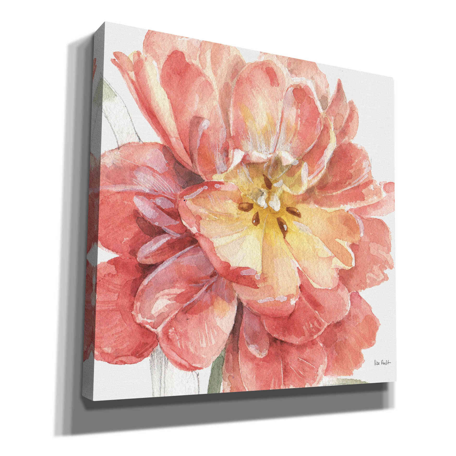 'Spring Meadow V' by Lisa Audit, Canvas Wall Art