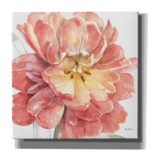 'Spring Meadow V' by Lisa Audit, Canvas Wall Art