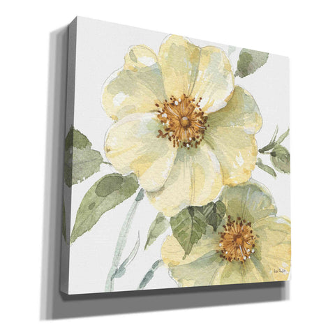 Image of 'Spring Meadow VII' by Lisa Audit, Canvas Wall Art