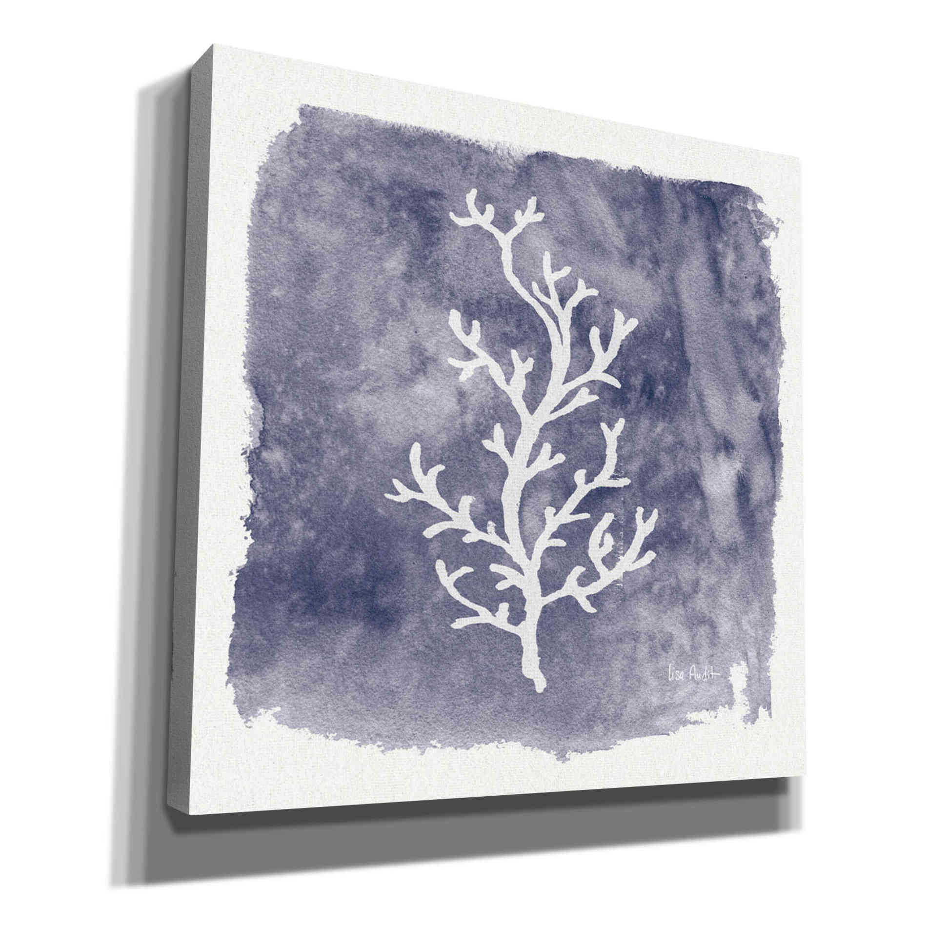 'Water Coral Cove IV' by Lisa Audit, Canvas Wall Art